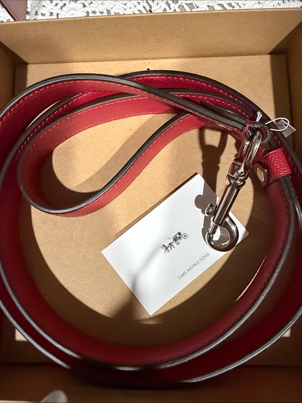 Leather Crossbody Strap in Red with Silver Hardware